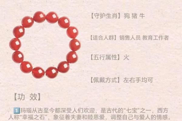 探秘中国生肖：解读“相似为命”的深刻含义与生肖之旅