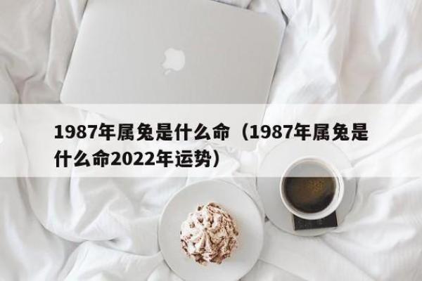 2007年冬月三十的命运与人生启示