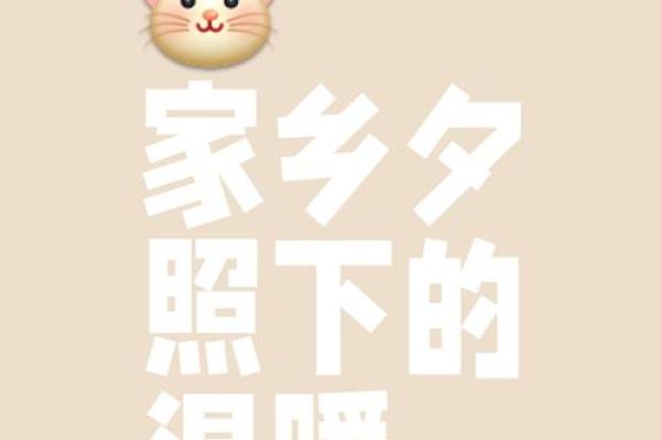 火命人士的床头形状选择：打造温暖与和谐的睡眠环境