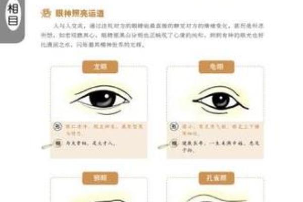 眉头高的人是什么命？揭开面相背后的奥秘！