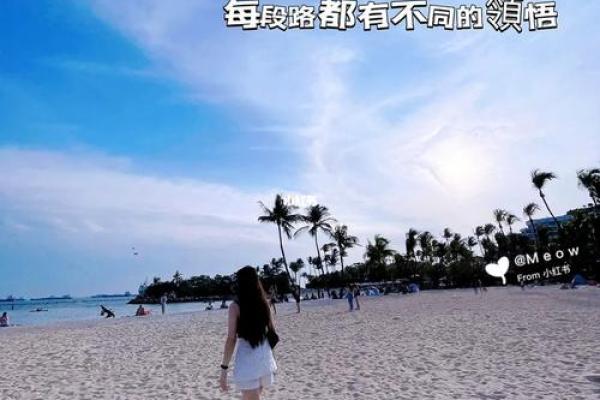 牛年正月二十，探索命理与人生的奇妙旅程