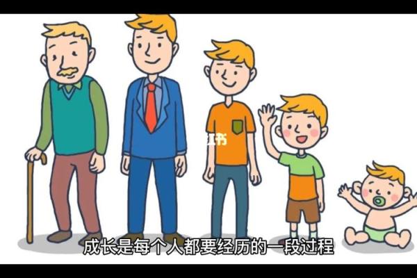 父亲早逝对子女命运的深远影响与心灵成长