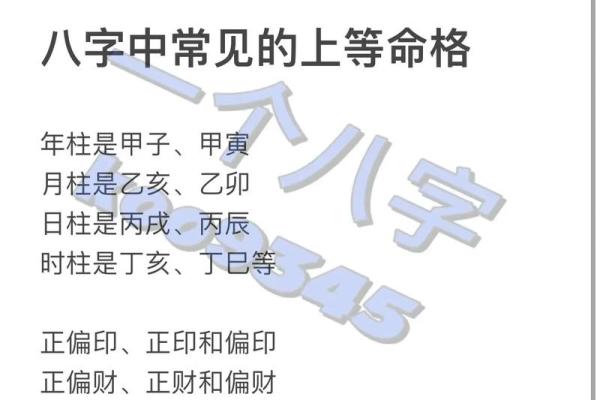探讨命理：为何某些命格与花卉养殖相悖？