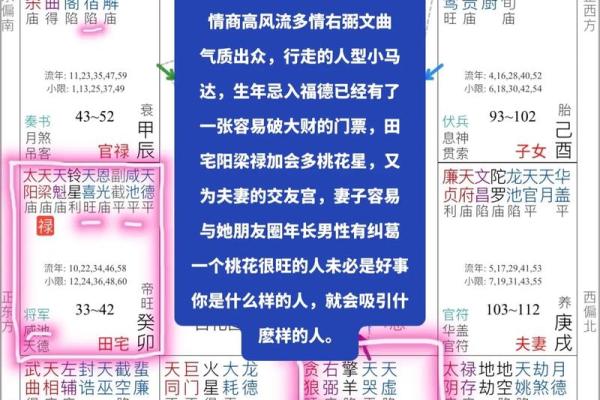 探索紫微命理的奥秘与人生智慧