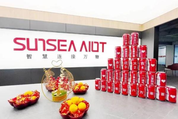 生肖虎女断掌命运解析：勇毅与智慧的结合之路