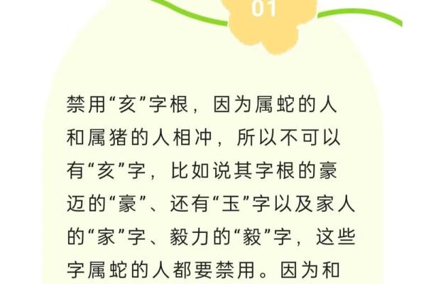 探寻生肖命理：从十二生肖看你的命运与个性