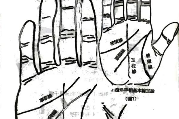 从手中探寻命运的秘密：手相与人生的奥秘