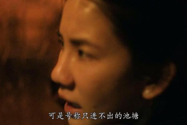 探秘《十三条命》的神秘故事与演员魅力
