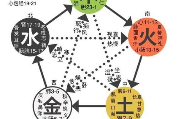 火命与相生相克关系的深刻解析：如何运用五行理论提升幸福感与生活质量