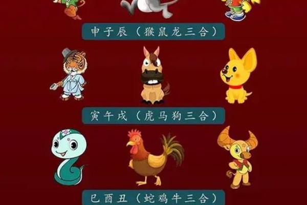 土鸡命与生肖搭配：最佳命理选择与解析