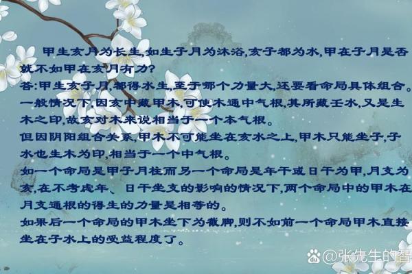探寻木命之道：适合木命者的职业与生活方式