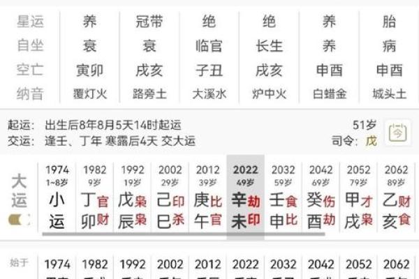 探索己巳年丙寅命理的奥秘与人生启示