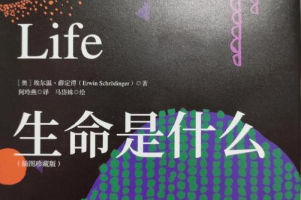 探索命理智慧：解读人生的奥秘与规律