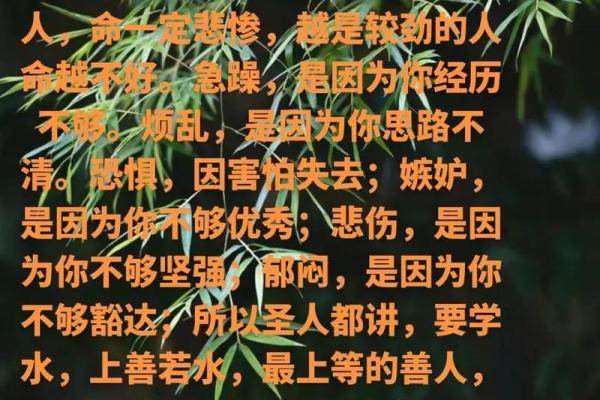 癸未日柱解析：揭示你的命运与生活智慧