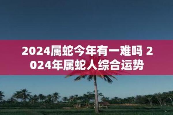 2013蛇年命运解析：探寻属蛇人的性格与运势