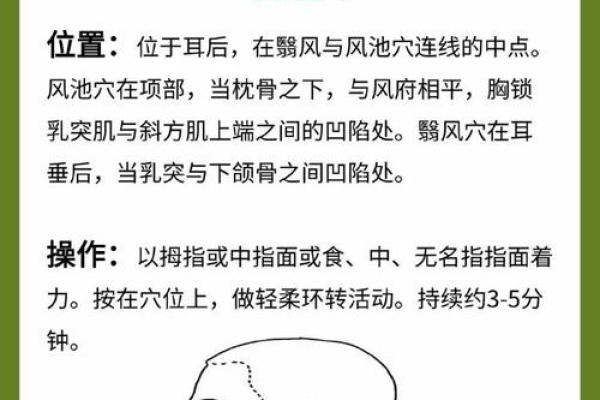 2017年属鸡人的命运解析：探寻缺失的五行能量与改善之道