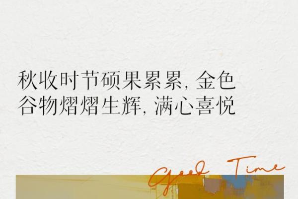 10月19日：秋意渐浓，探寻金秋的魅力与收获