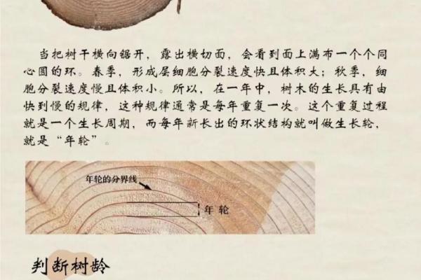 如何测算自己算什么命，探索命理的奥秘与智慧