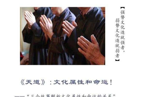 甲戌年出生的人命运解析：揭示性格和生活特点的奥秘