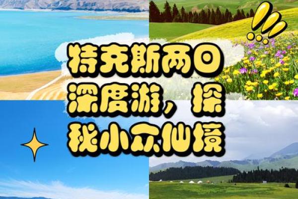 19221年属相分析：命运与性格的深度探秘
