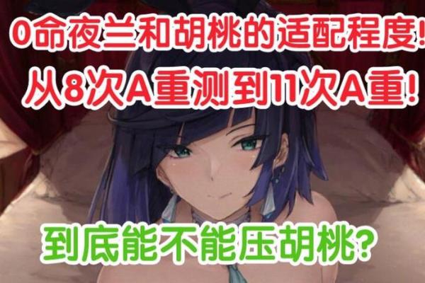 零命夜阑的杯子选择：品味与情感的交汇点
