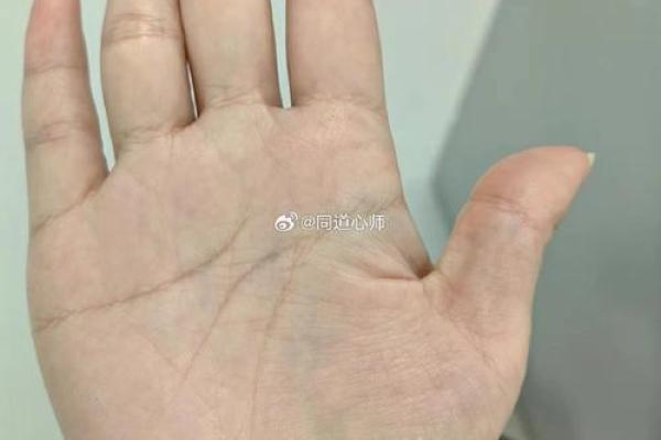 揭秘手相中的苦命痕迹：如何读懂你的命运线与命运之路