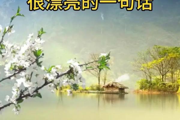 水命人的特征与命理解析：揭示水命之谜与人生智慧