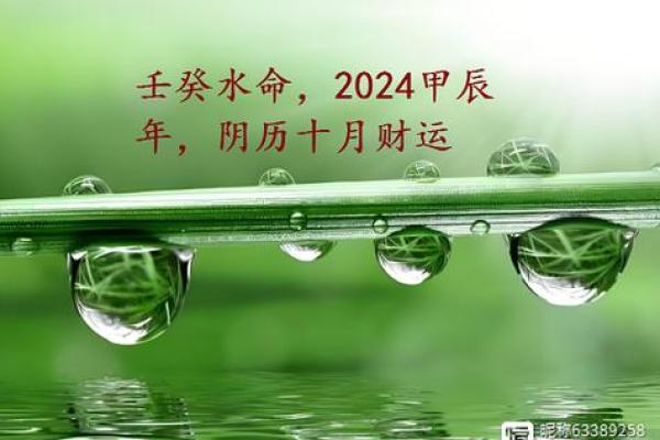 水命者适合的 wallet 颜色选择，助你财运顺畅！
