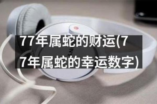 路旁土命者的幸运数字与生活艺术探索