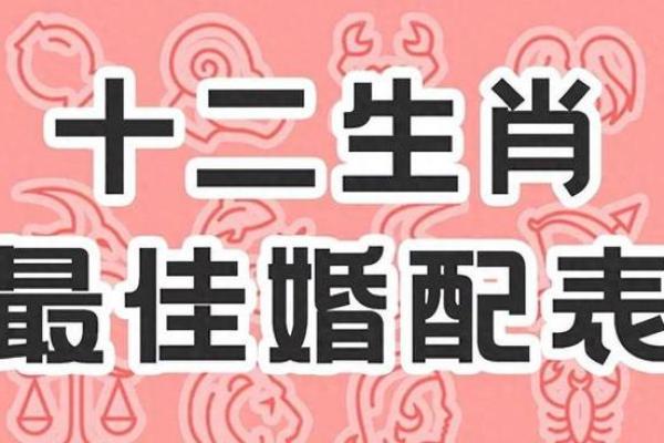 婚姻相配：生肖与命理的完美结合之道
