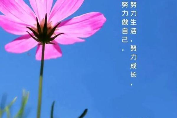 2021年71岁命运解析：如何把握人生的每一个阶段