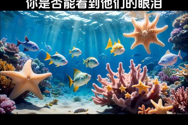 命运之光：探寻生命深处的秘密与希望