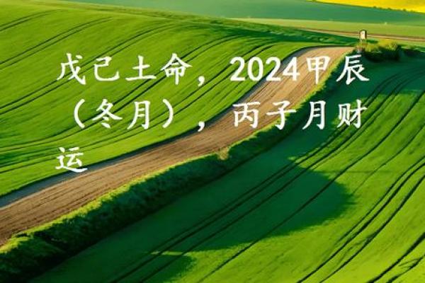 1998年土命属牛：探秘中式命理与人生智慧之旅