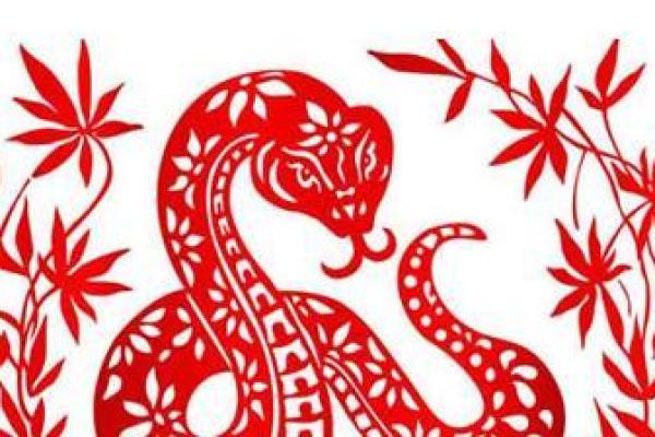 2014年属相蛇的命运分析：探索智慧与独立的精彩人生
