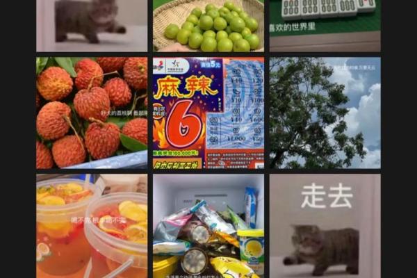 二零零二年出生的孩子，命理分析与未来展望