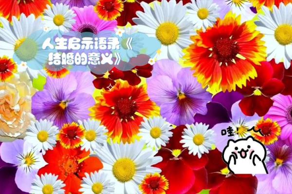 天锁在命理中的深远意义与人生启示