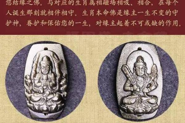 算命青龙命的深刻含义与人生智慧探讨