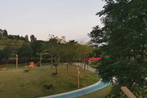 辛亥丙辰命局解析：探索命理的奥秘与自我修炼之路