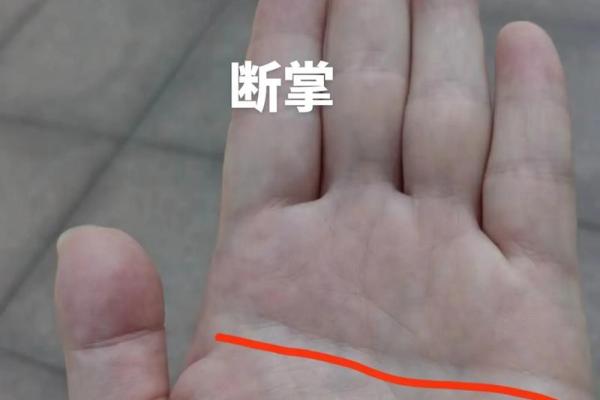 男人双手断掌命格解析：隐秘特质与人生轨迹的揭示