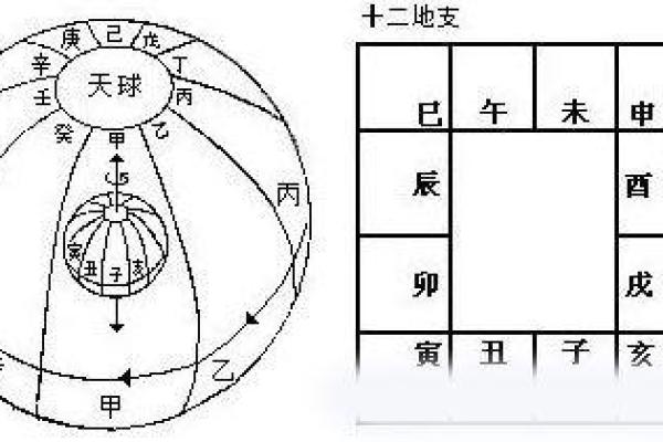 探索己卯、壬申、丙辰、戊子命格的独特人生轨迹与发展之道