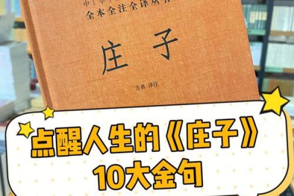从命起步：探索与“命”相关的成语与人生哲学