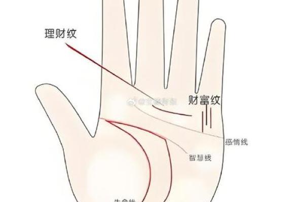 掌纹清晰的人命运解析：看手相，知人生!