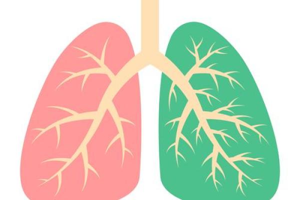 天罗地网命格与重疾之谜：探寻命运与健康的微妙关联