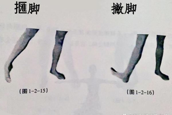 脚趾距离与命运：探秘脚部特征的神秘故事