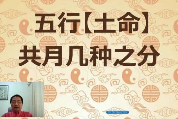 土命的人应该如何选择职业与生活方向？