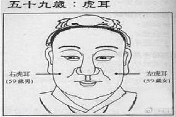 面相解析：如何从相术看丧子命的影响与化解之法