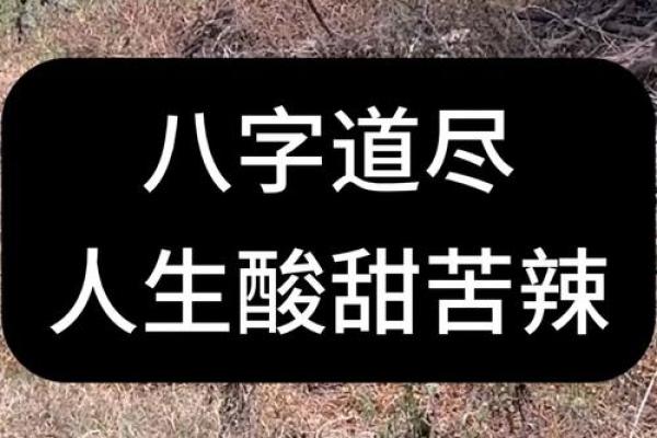 1995属猪—探索木命八字的奥秘与人生之路