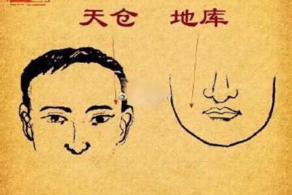 额头饱满圆润之命理解析：揭示吉祥富贵的秘密