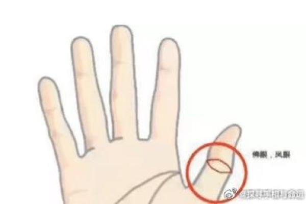 早上7.15出生的人命运解析：你的八字与性格的深度解读