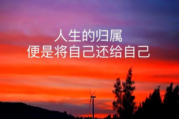 1994年属狗人士的命格解析与人生归宿探讨